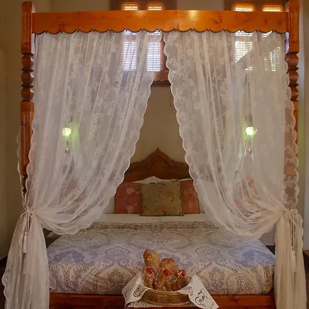 Elafusa Luxury 아파트 Rhodes City