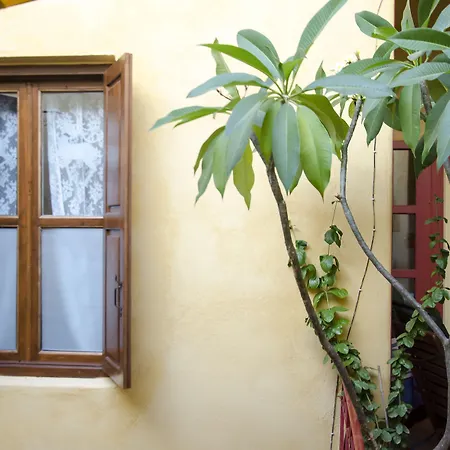 Apartamento Elafusa Luxury