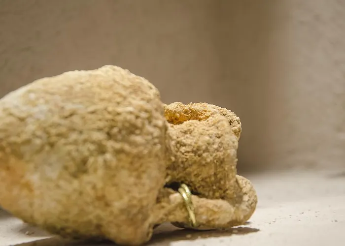 Elafusa Luxury Rhodes City